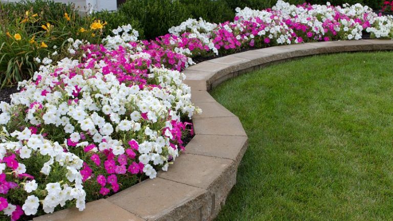 Popular Softscape Landscaping Ideas