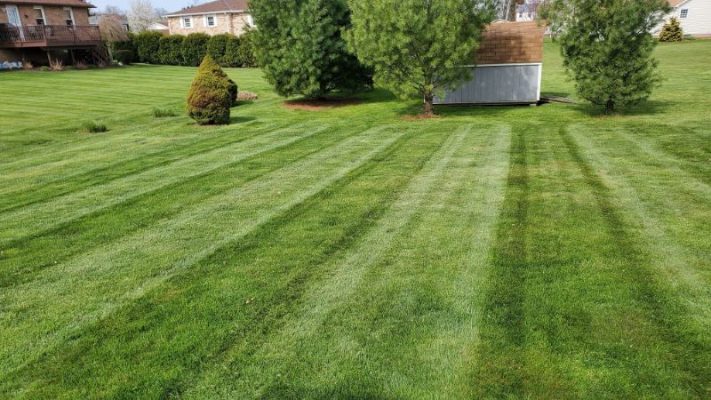 lawn maintenance