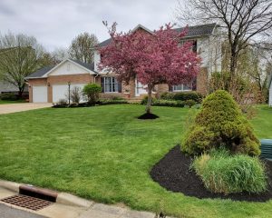Professional spring cleanup services in Canton Ohio