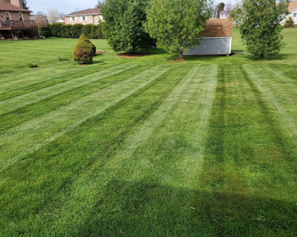 Before and after of a backyard transformed into an outdoor living space in Canton Ohio by Fili Property Maintenance