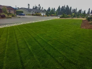 Professional landscaping installation in Louisville Ohio residential property