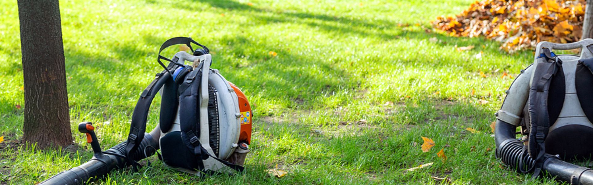 louisville-seasonal-lawn-care - Seasonal lawn care services for Louisville homes and businesse