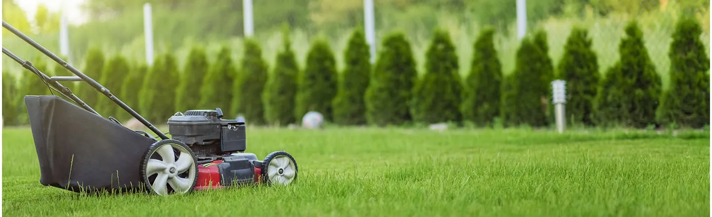Custom landscape design and installation for Louisville Ohio homes