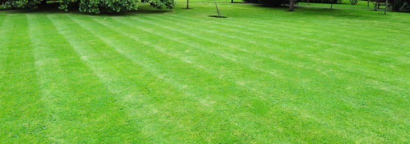 Fili Property Maintenance lawn care team serving North Canton Ohi