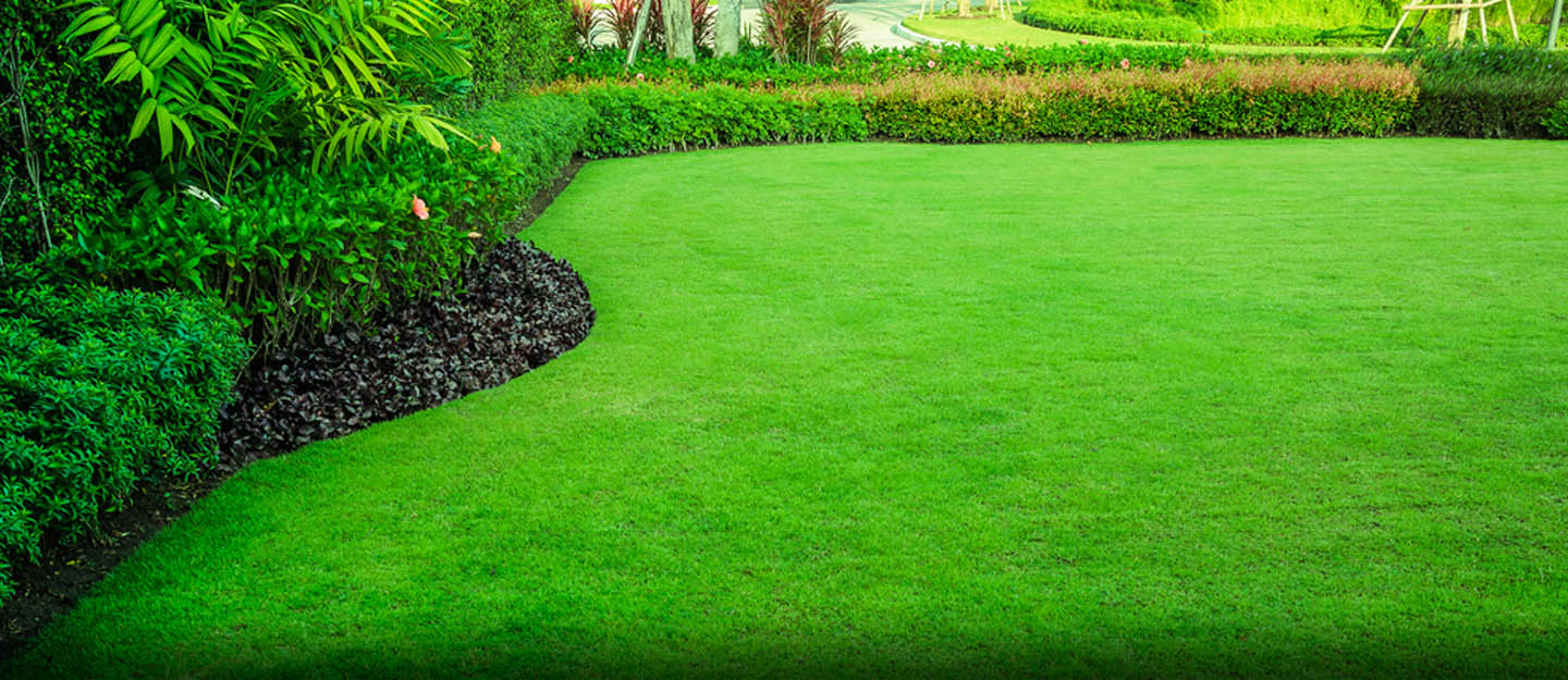 Professional lawn mowing service in North Canton Ohio residential neighborhood