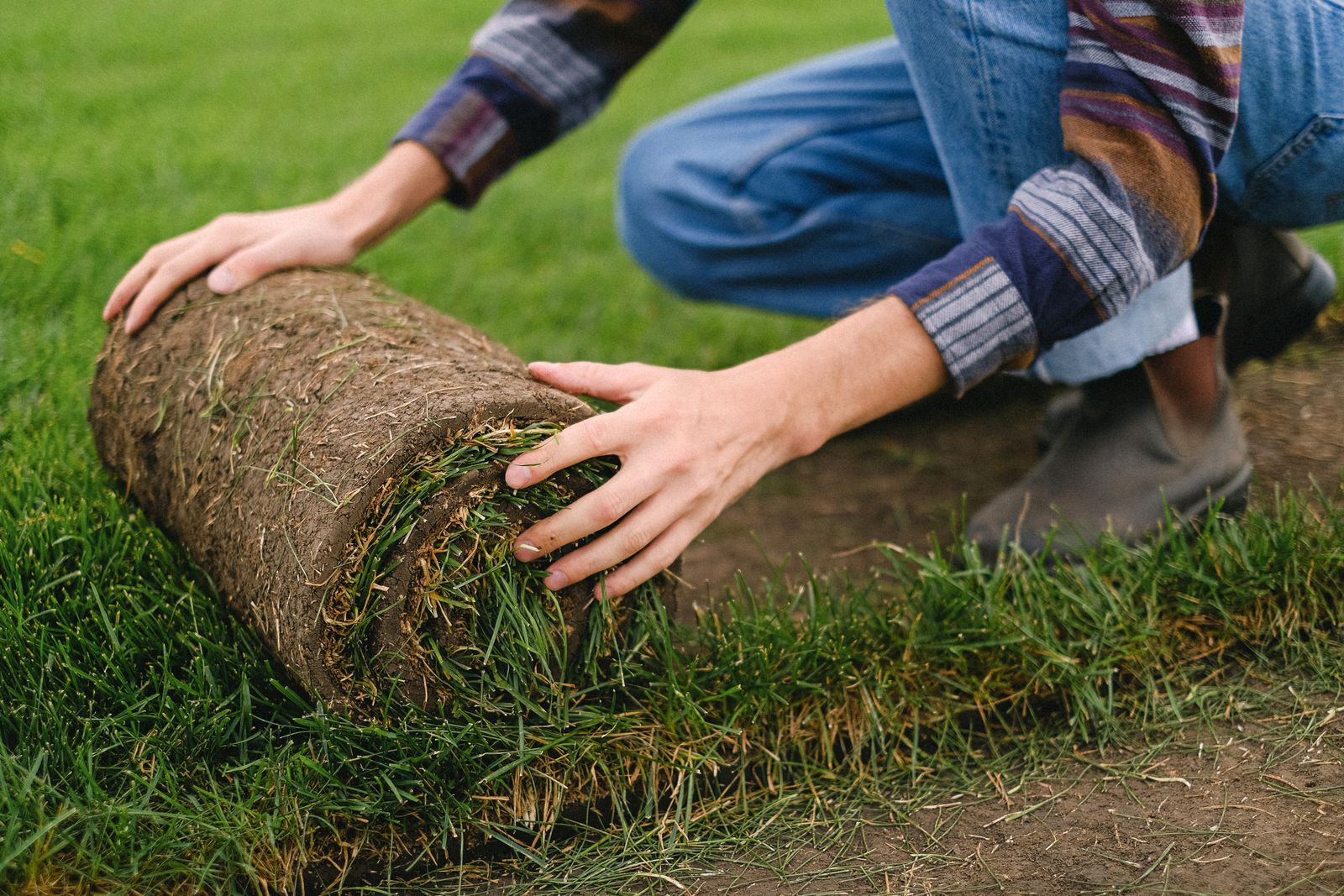Installer unrolling a strip of sod across prepared soil during a new lawn installation