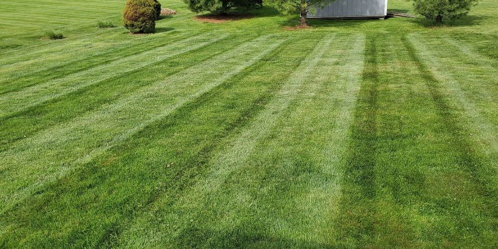 Outdoor living space with patio and landscaping in Canton Ohio
