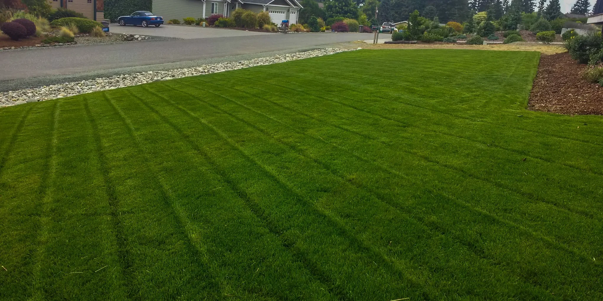 Professional landscaping installation in Louisville Ohio residential property