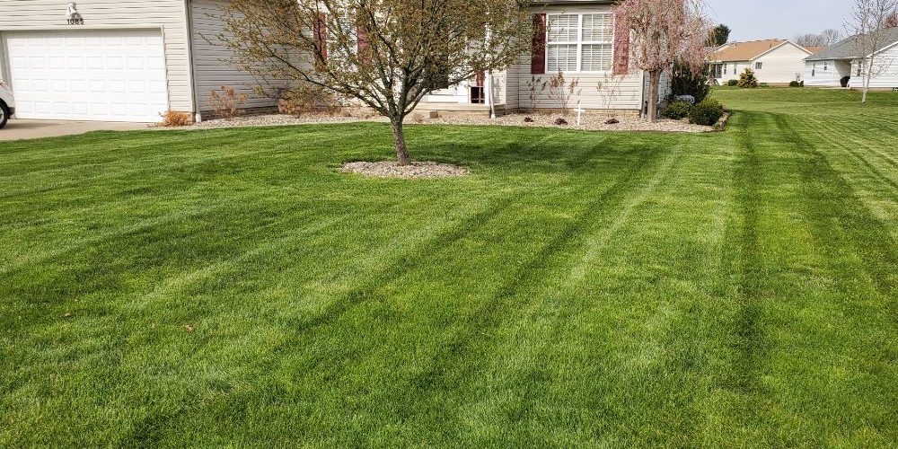 Before and after landscaping transformation in Louisville Ohio
