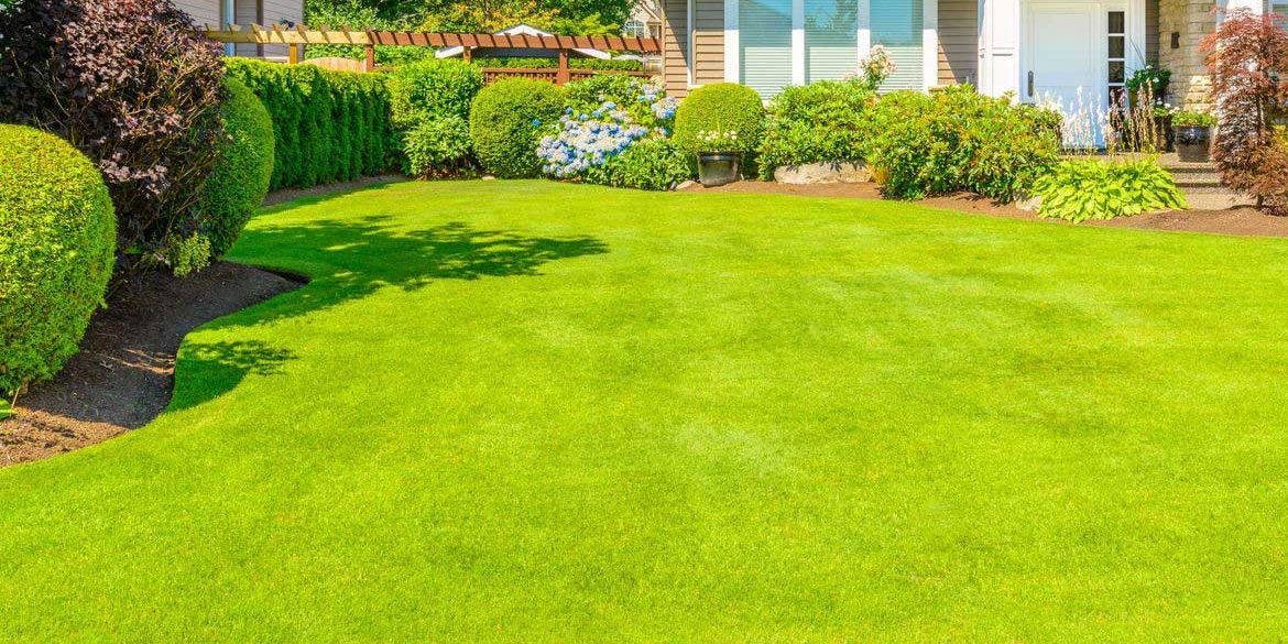 Fertilization and weed control treatment for North Canton Ohio lawns